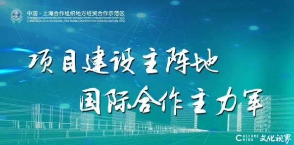 GOGOGO中国剧情介绍与评价：深入分析这部作品的情节发展、角色塑造及其在观众中的反响与评价