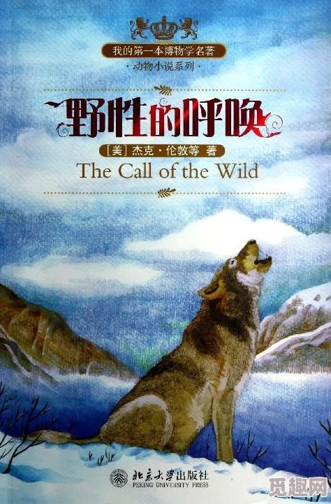 被主人炒坏的小狗小说：一只流浪犬的成长与救赎之旅，揭示人性与爱的深刻联系