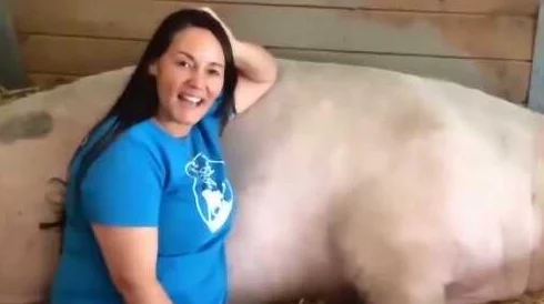 女人和公豬交内谢!某女星被曝与猪发生不正当关系,细节曝光引发网友热议闹哄哄 女人和公豬交内谢!某女星被曝与猪发生不正当关系,细节曝光引发网友热议闹哄哄