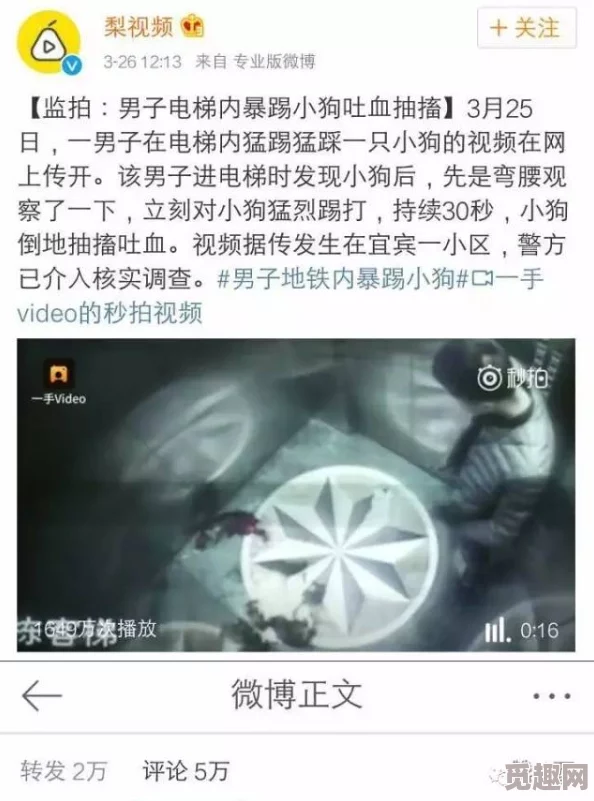 欧美一进一出抽搐大尺度视频引发热议，网友纷纷讨论其背后的文化现象与社会影响，话题持续升温