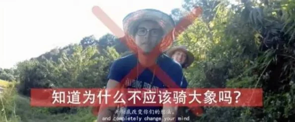 兰姨捂着嘴怕发出声音吵到，竟目击惊人秘密，揭开隐藏多年的黑幕！