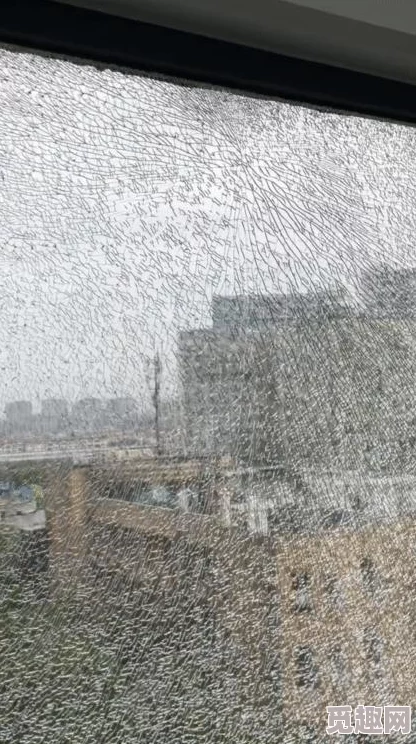 9分10秒落地窗头撞玻璃视频，惊险瞬间曝光，背后故事让人心惊胆战！